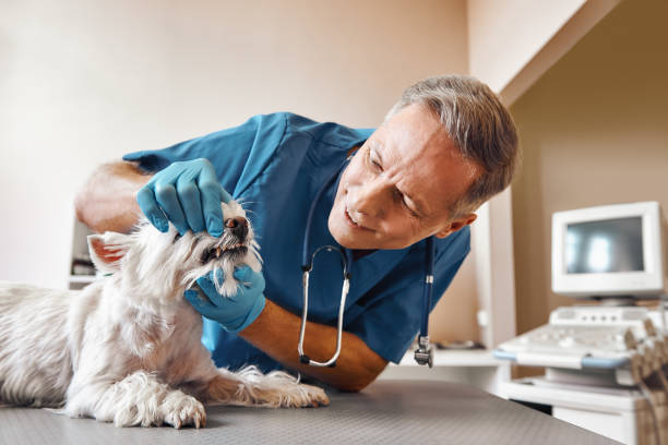 Best Emergency Root Canal Treatment in Five Points, OH